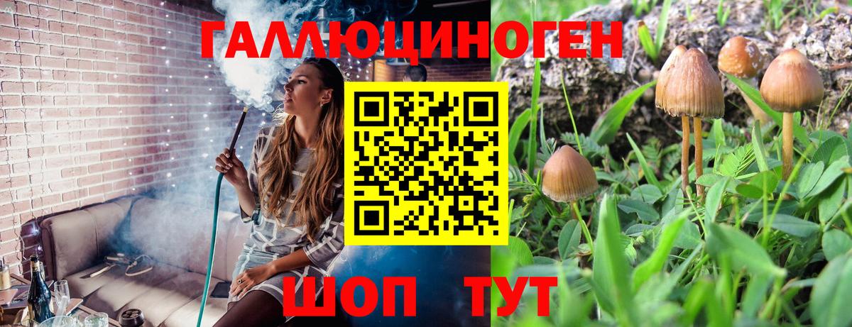 Псилоцибиновые грибы мицелий  Вход с VPN  Абакан  Псилоцибиновые грибы Cubensis 