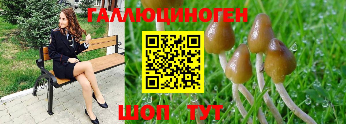 Конопля  Абакан  АМФЕТАМИН   КОКАИН  Меф   Вход с VPN  ГАШИШ 