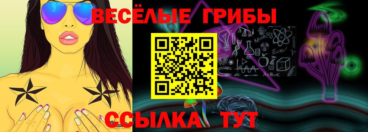 Галлюциногенные грибы Magic Shrooms Абакан
