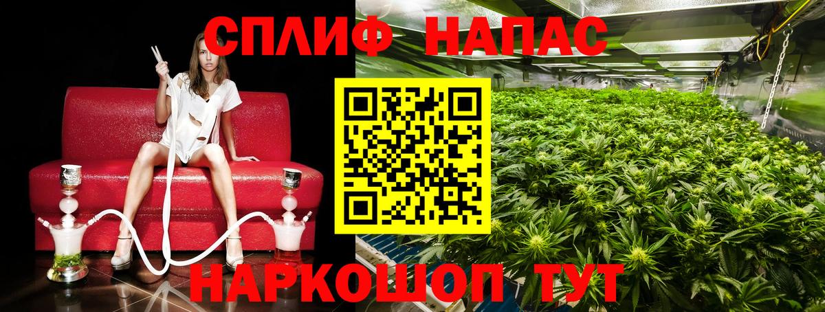 Бошки Шишки план Абакан